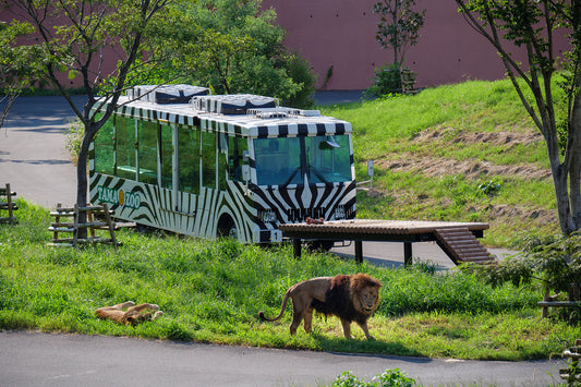 A Day Out at Tama Zoo – Nature, Lions, and a Bit of a Hike