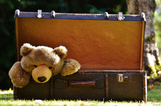 Why I Started Little Nomads Japan: A Mum’s Mission to Help Travelling Families